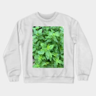 Mint Crewneck Sweatshirt